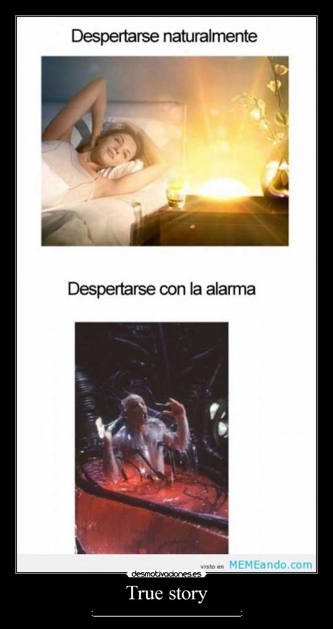 True story - :____________________________________: