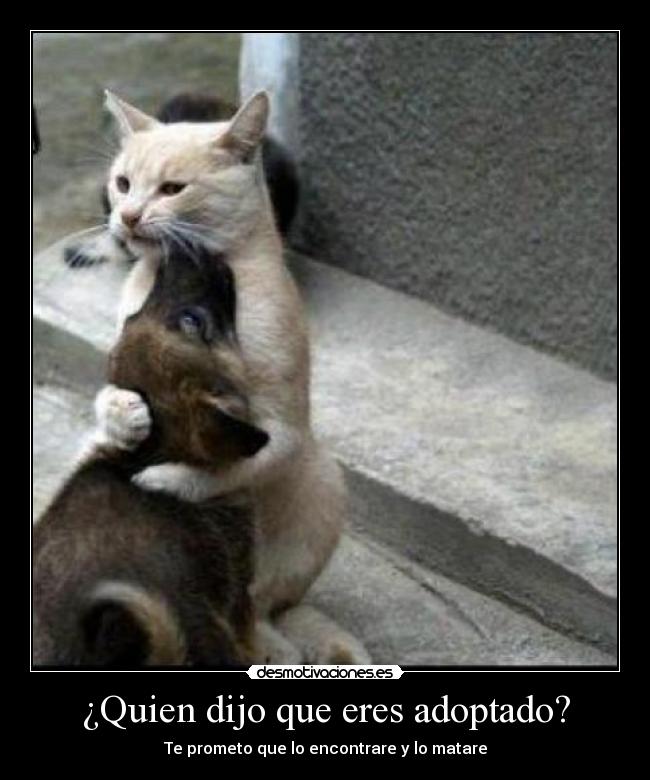 ¿Quien dijo que eres adoptado? - Te prometo que lo encontrare y lo matare