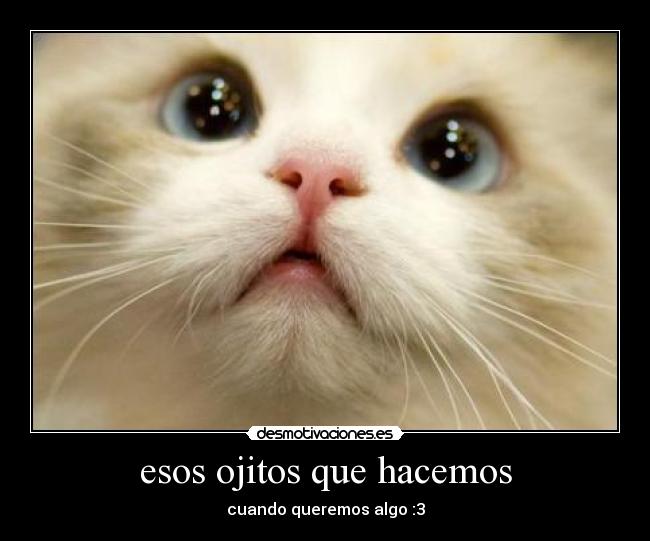 esos ojitos que hacemos - 