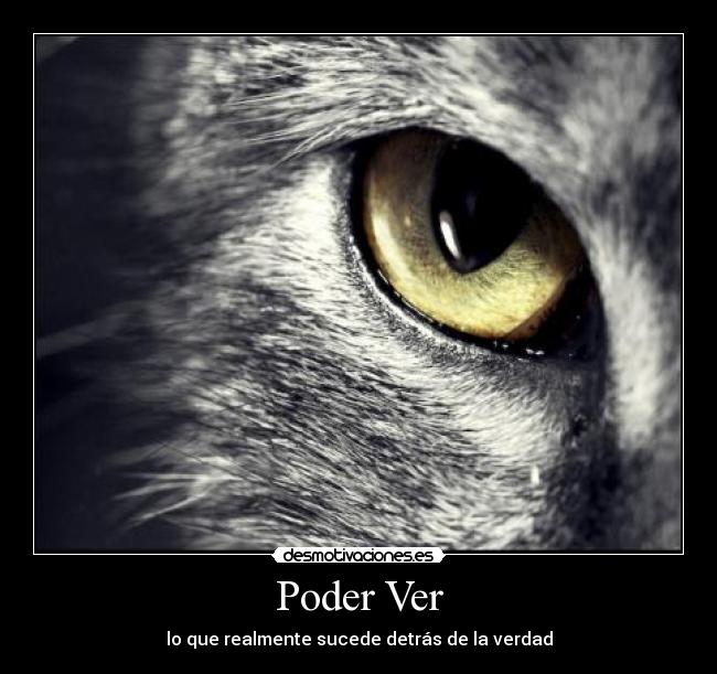 Poder Ver - lo que realmente sucede detrás de la verdad
