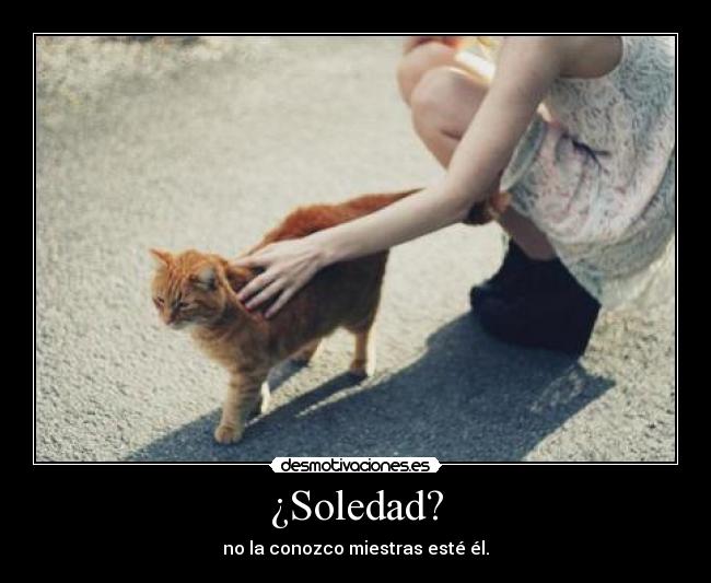 ¿Soledad? -