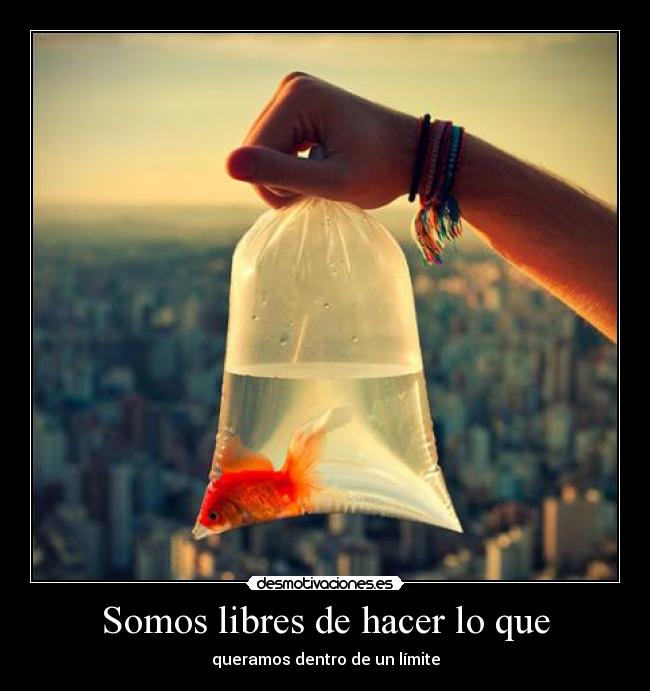 Somos libres de hacer lo que - queramos dentro de un límite