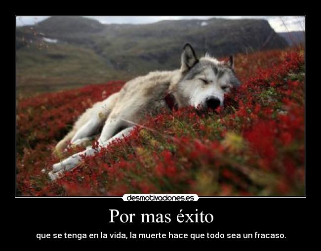 Por mas éxito - que se tenga en la vida, la muerte hace que todo sea un fracaso.