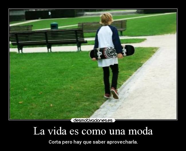 carteles vida mrsadhow skate fucker desmotivaciones