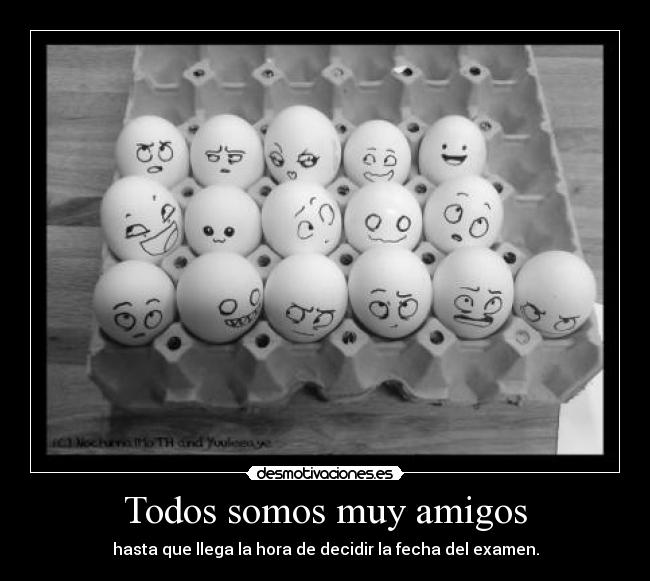 Todos somos muy amigos -