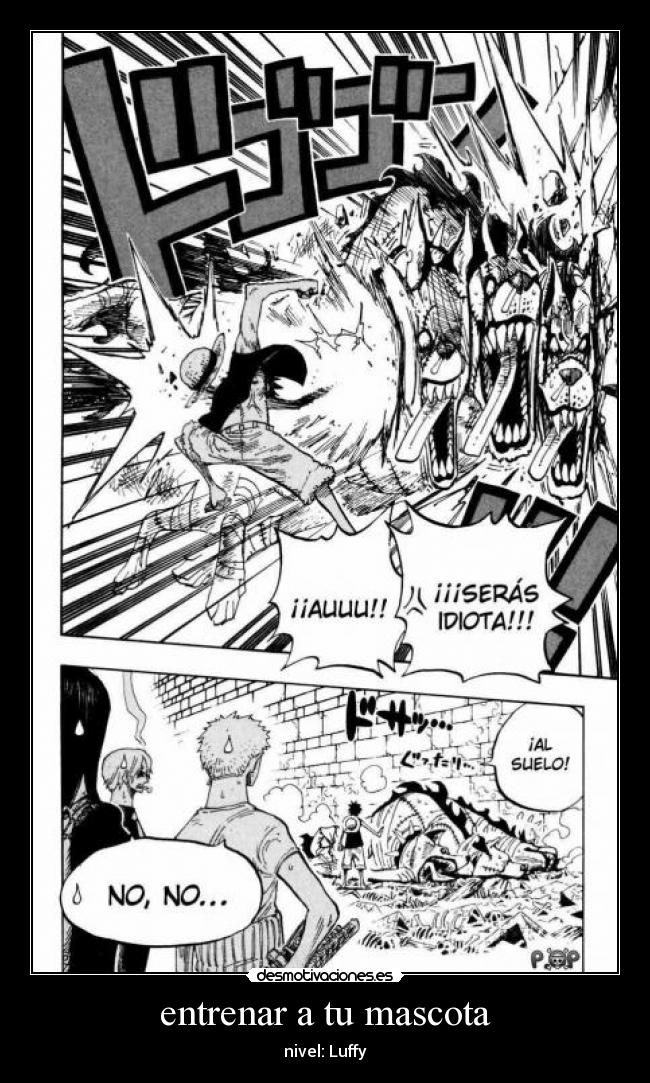 entrenar a tu mascota - 