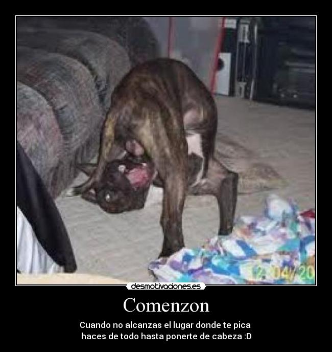 carteles dolor huevos francisco0 desmotivaciones