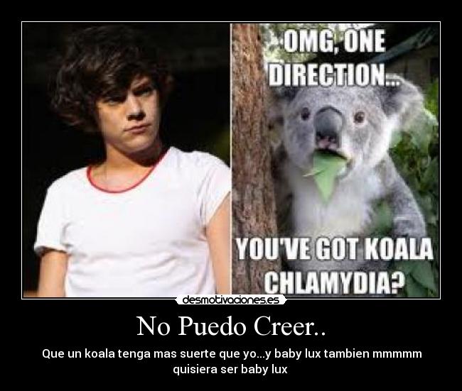 No Puedo Creer.. - Que un koala tenga mas suerte que yo...y baby lux tambien mmmmm
quisiera ser baby lux ♥