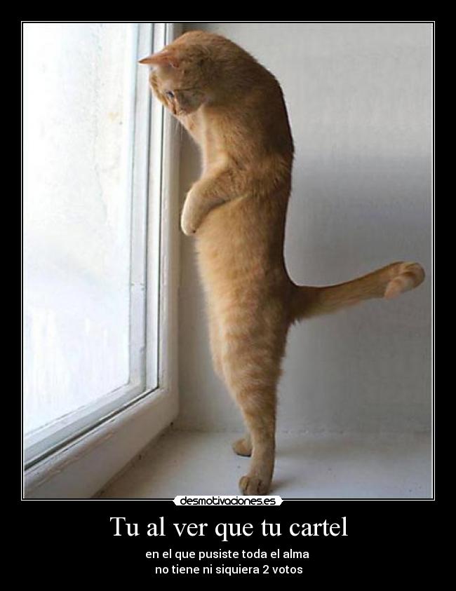 Tu al ver que tu cartel - 
