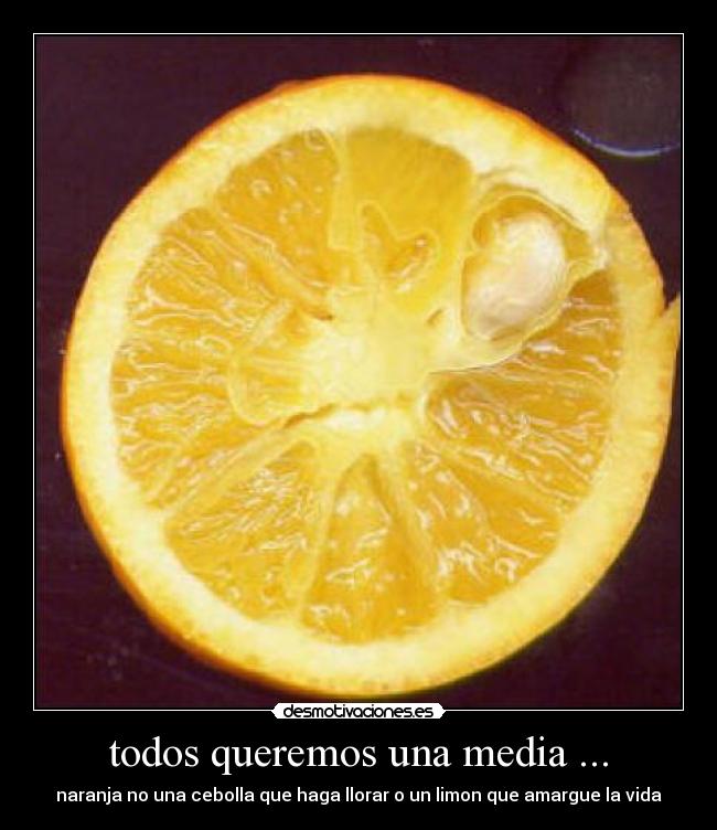 todos queremos una media ... - naranja no una cebolla que haga llorar o un limon que amargue la vida