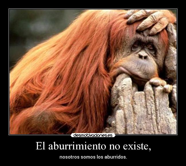 El aburrimiento no existe, - nosotros somos los aburridos.