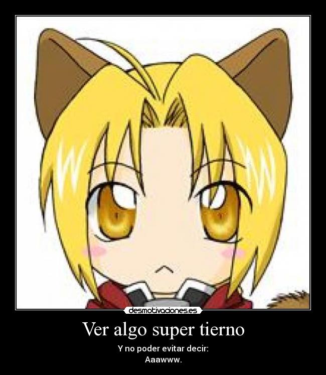 carteles full metal eduard neko orejitas gatosaaaw super tierno abby desmotivaciones