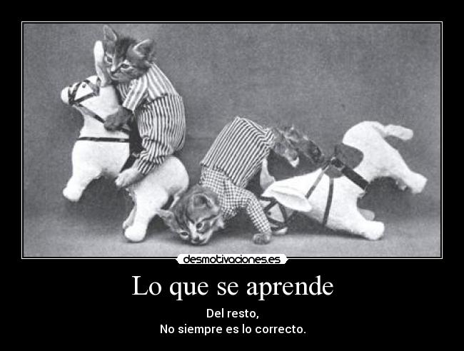 Lo que se aprende - Del resto,
No siempre es lo correcto.