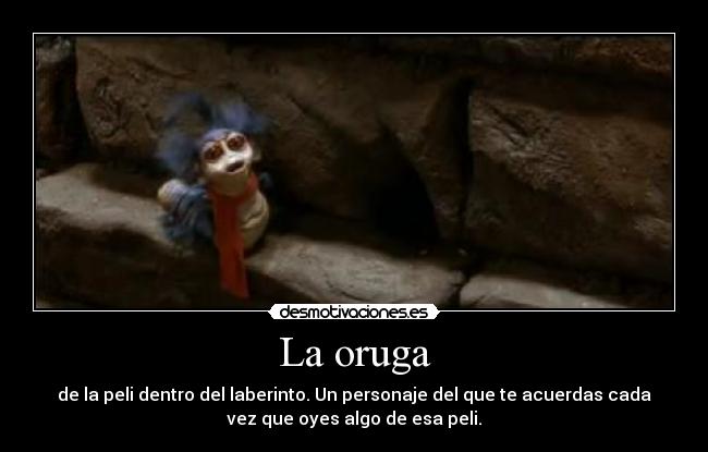 carteles dentro del laberinto desmotivaciones