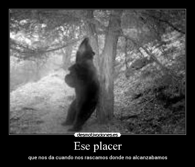 Ese placer - que nos da cuando nos rascamos donde no alcanzabamos