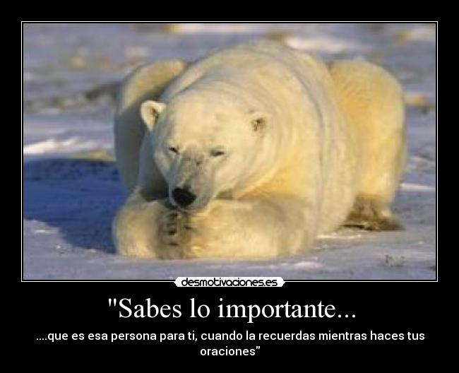 Sabes lo importante... - ....que es esa persona para ti, cuando la recuerdas mientras haces tus oraciones