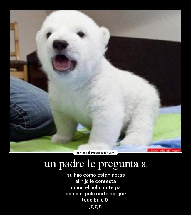 un padre le pregunta a - 