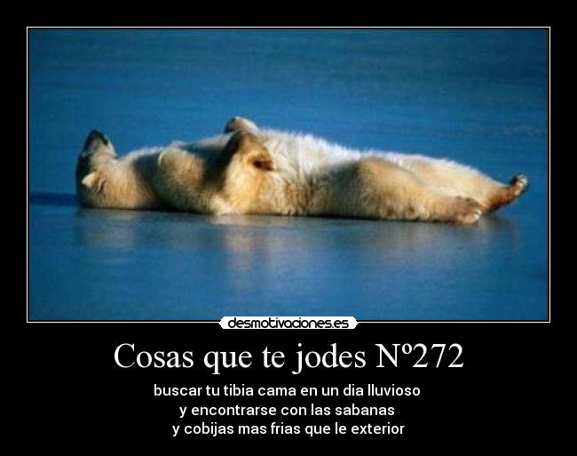 Cosas que te jodes Nº272 -