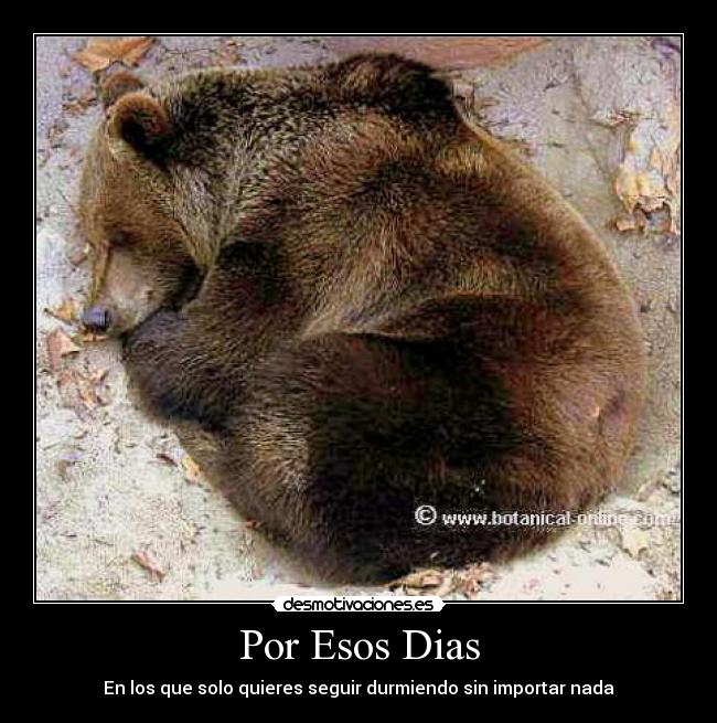 Por Esos Dias - En los que solo quieres seguir durmiendo sin importar nada