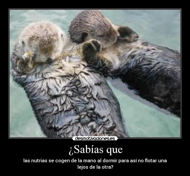 carteles desde hace poco hola veo que lees las etiquetas muy bien pasalo bien desmotivaciones