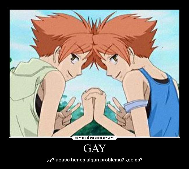 GAY - ¿y? acaso tienes algun problema? ¿celos?