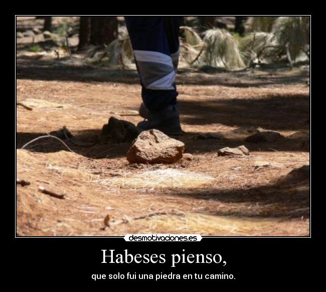 Habeses pienso, - 