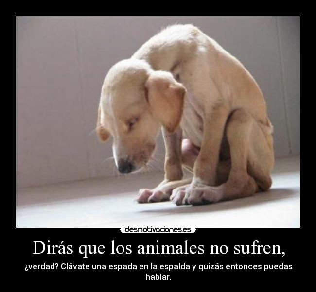 Dirás que los animales no sufren, - ¿verdad? Clávate una espada en la espalda y quizás entonces puedas hablar.