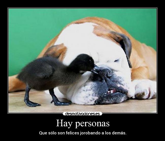 Hay personas - Que sólo son felices jorobando a los demás.