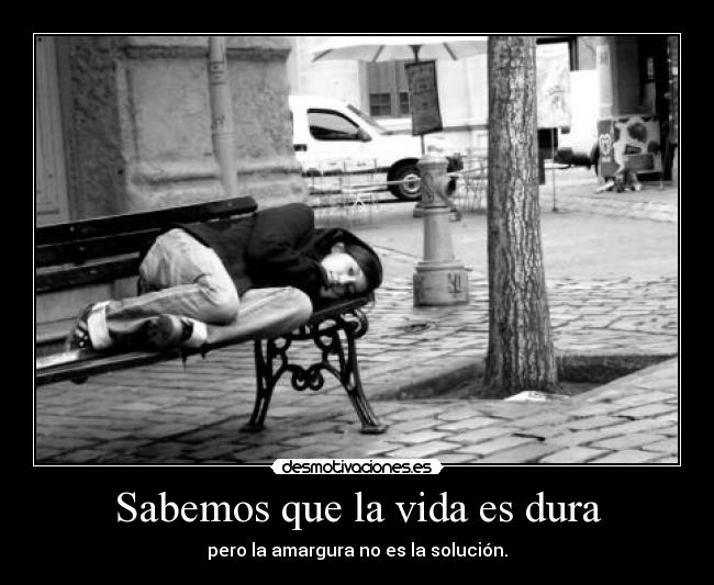 Sabemos que la vida es dura - pero la amargura no es la solución.