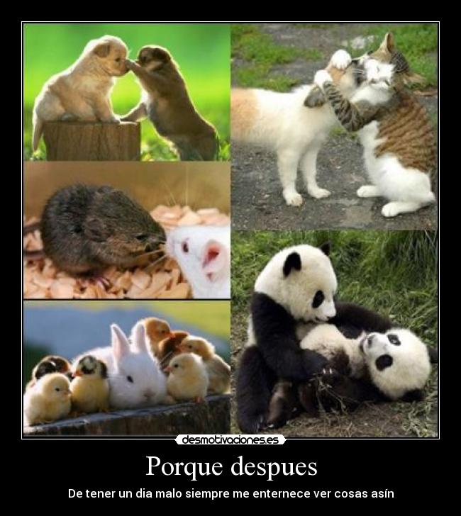 Porque despues -