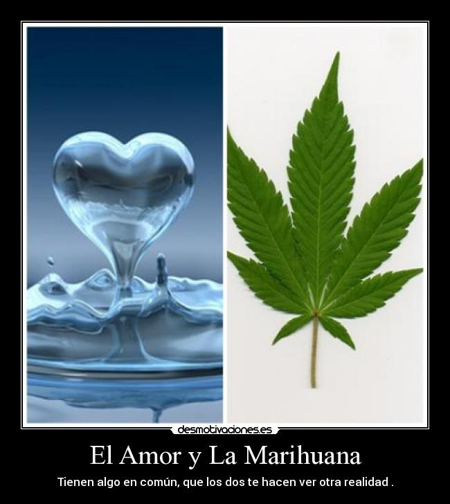 El Amor y La Marihuana -