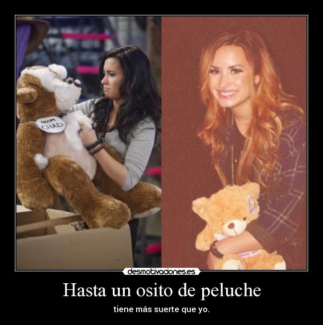 Hasta un osito de peluche - 