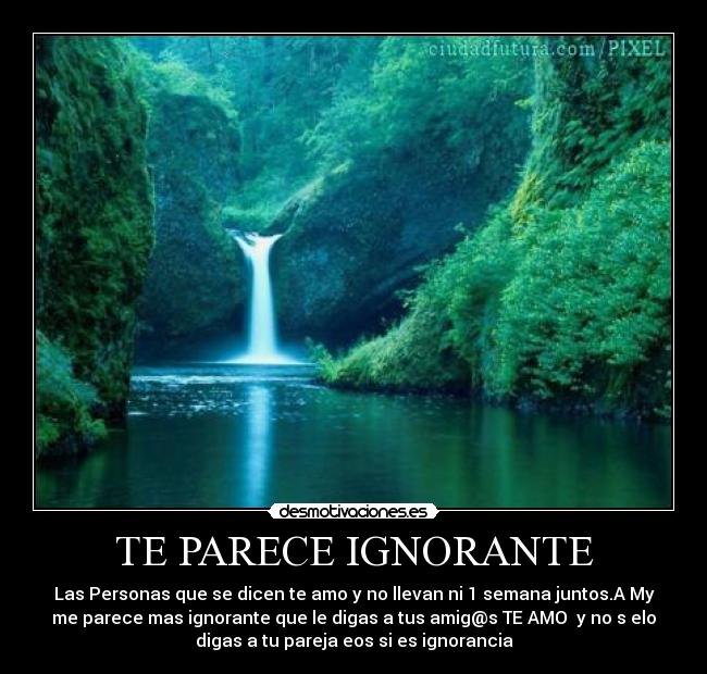 TE PARECE IGNORANTE - Las Personas que se dicen te amo y no llevan ni 1 semana juntos.A My
me parece mas ignorante que le digas a tus amig@s TE AMO y no s elo
digas a tu pareja eos si es ignorancia