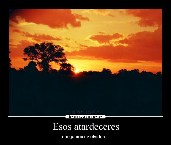Esos atardeceres - 
