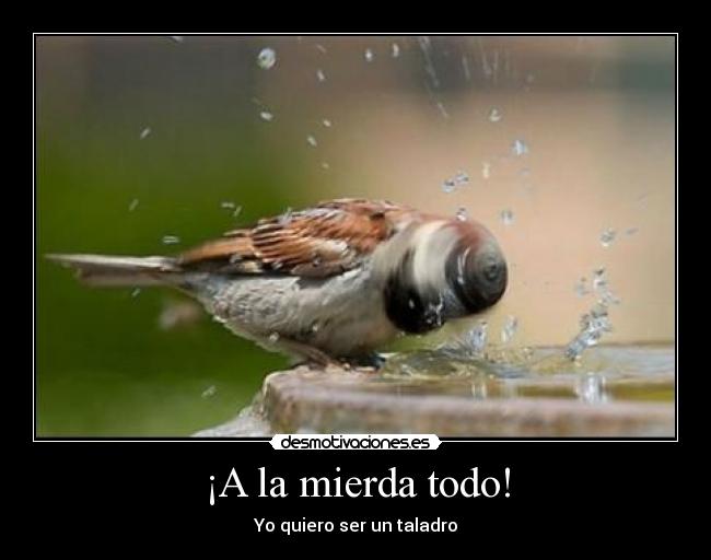 ¡A la mierda todo! - Yo quiero ser un taladro