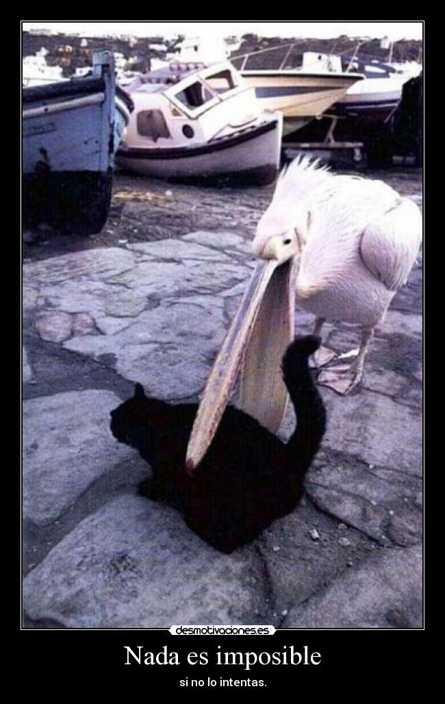Nada es imposible - si no lo intentas.