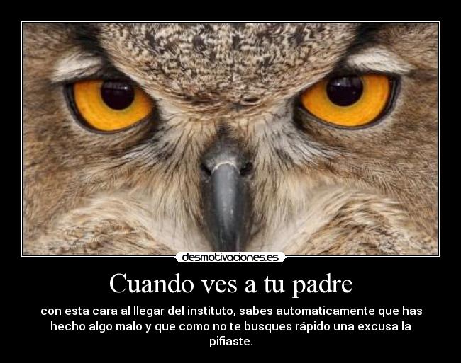 Cuando ves a tu padre - con esta cara al llegar del instituto, sabes automaticamente que has
hecho algo malo y que como no te busques rápido una excusa la
pifiaste.