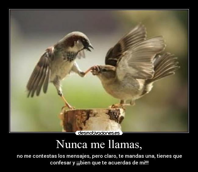 Nunca me llamas, - no me contestas los mensajes, pero claro, te mandas una, tienes que
confesar y ¡¡¡bien que te acuerdas de mi!!!
