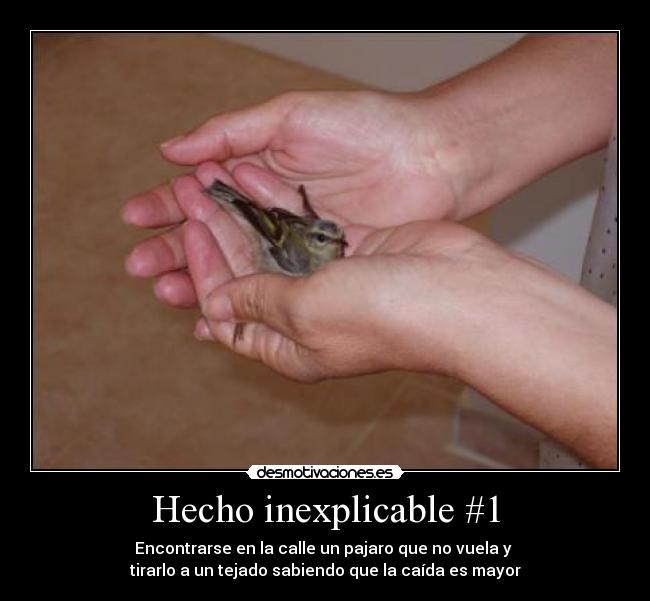 Hecho inexplicable #1 - 