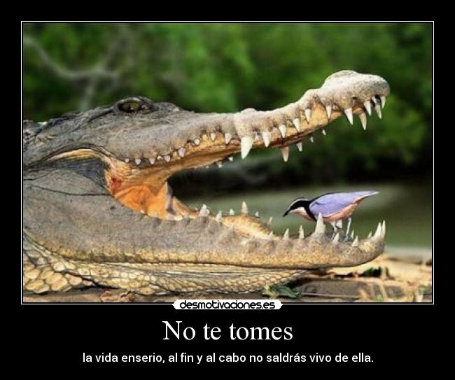 No te tomes - la vida enserio, al fin y al cabo no saldrás vivo de ella.