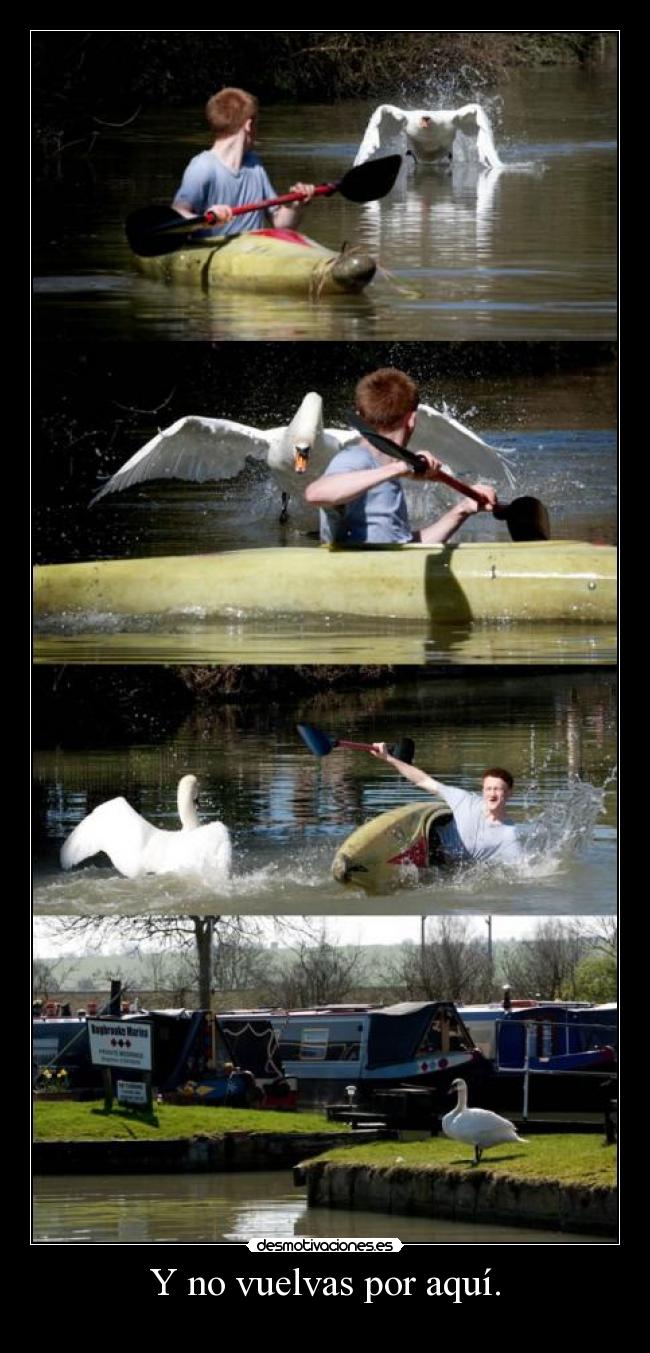Y no vuelvas por aquí. -