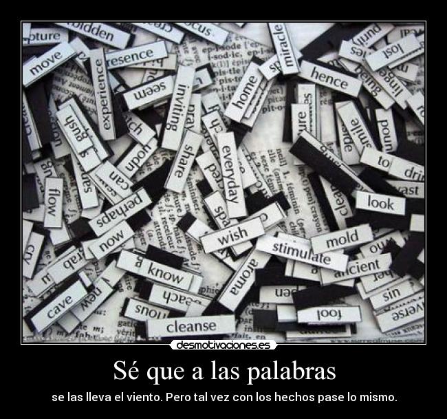 Sé que a las palabras - se las lleva el viento. Pero tal vez con los hechos pase lo mismo.