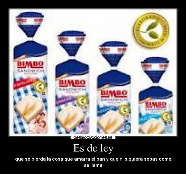 Es de ley - 