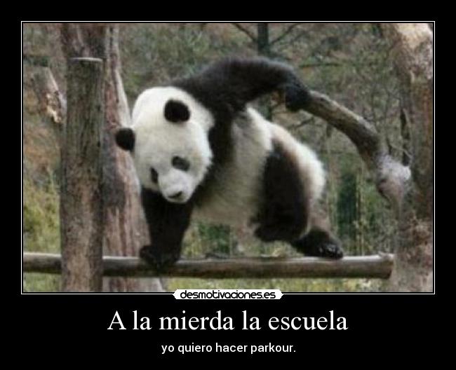 A la mierda la escuela -