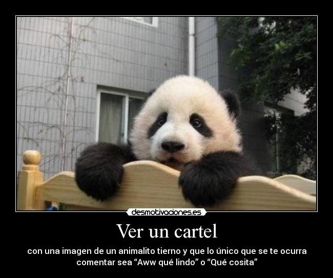 carteles animalito tierno cartel imagen comentar panda desmotivaciones