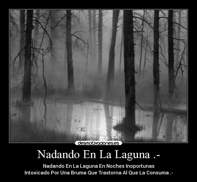 Nadando En La Laguna .- - Nadando En La Laguna En Noches Inoportunas
Intoxicado Por Una Bruma Que Trastorna Al Que La Consuma .-