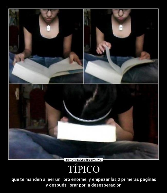 carteles tipico desmotivaciones