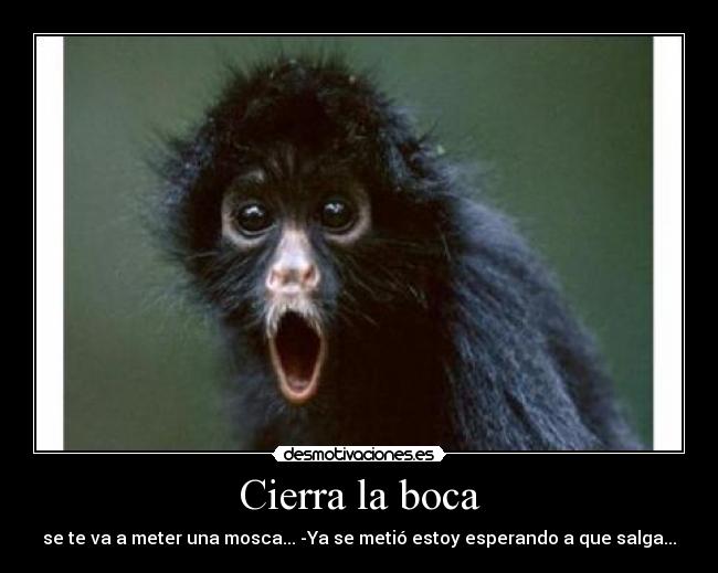 Cierra la boca - se te va a meter una mosca... -Ya se metió estoy esperando a que salga...