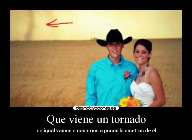 carteles sandrovich desmotivaciones