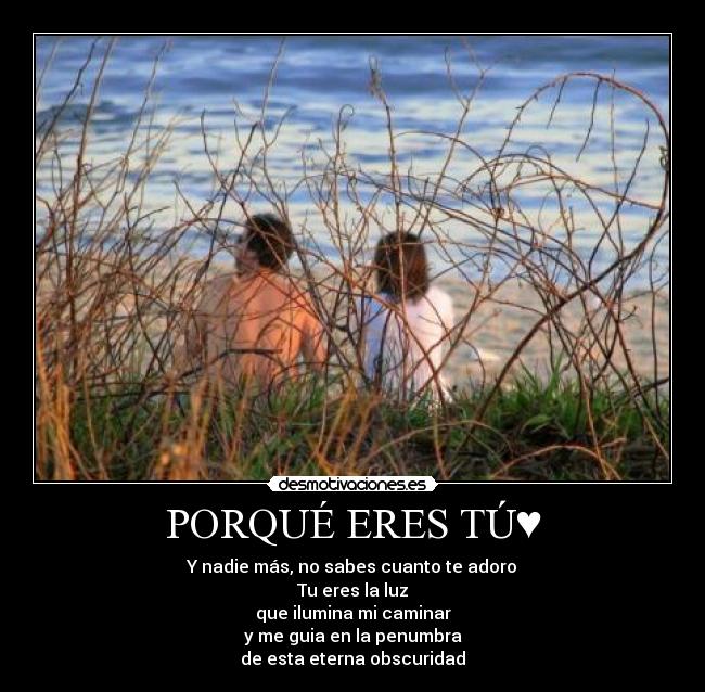 carteles carlz desmotivaciones